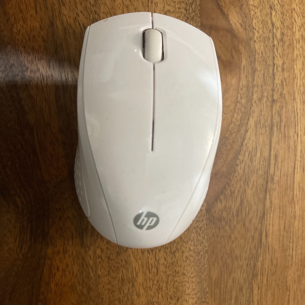 Mouse